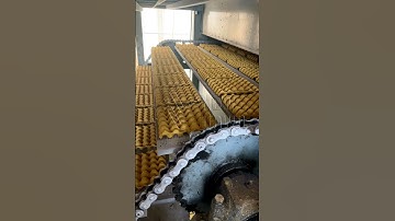 Egg Tray Making Machine | Multilayer Metal Dryer | New Dawn Machinery #shorts