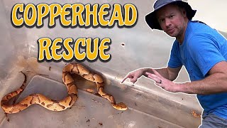 Detailed CopperHead snake removal FAIL Profile
