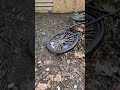 Off Grid Studio Pt 50 Clean Around The OffGrid Studio 💪‼️🐐For This Salavage Build