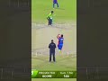 বিশ্বসেরা catch out 🏏😃 #shorts #shortvideo #cricket #cricketlover #cricketshorts