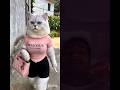 Oh no funny #dog #cat #trending