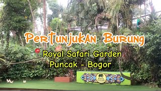Pertunjukan Burung Di Royal Safari Garden Puncak  Bogor cetadaily royalsafarigarden bogor 