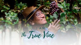 I AM the True Vine | April 28, 2024