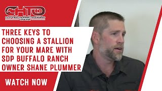 Three Keys To Choosing A Stallion For Your Mare with SDP Buffalo Ranch Owner Shane Plummer