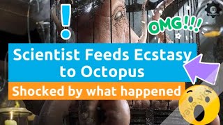 SHOCKING! Scientist Feeds Ecstasy to Octopus - SEE WHAT HAPPENS!