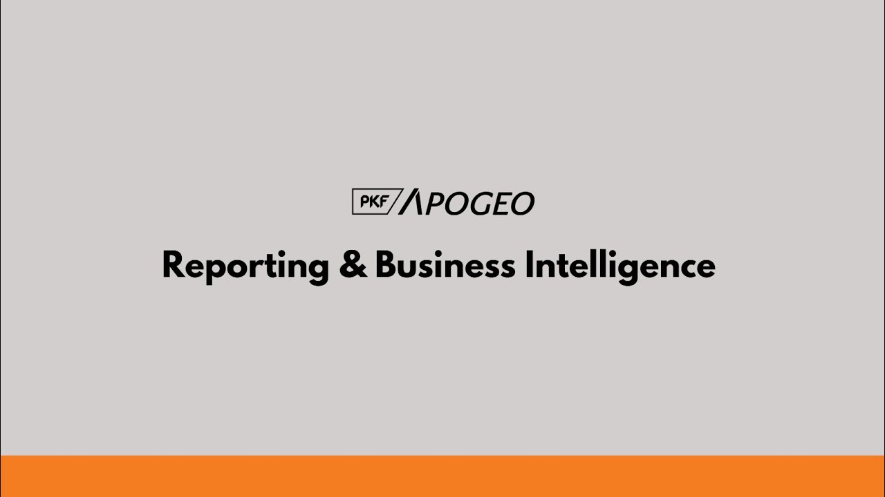 Reporting & Business Intelligence PKF APOGEO