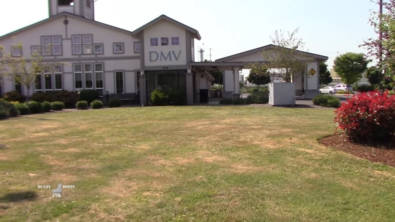 First Amendment Friday Springfield DMV, boring is good. YouTube