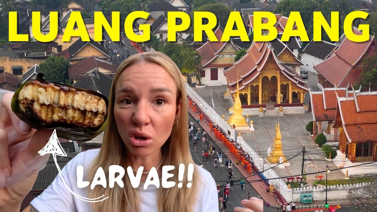 The Things We Didn't Expect To See In Luang Prabang 🇱🇦 Laos 2025