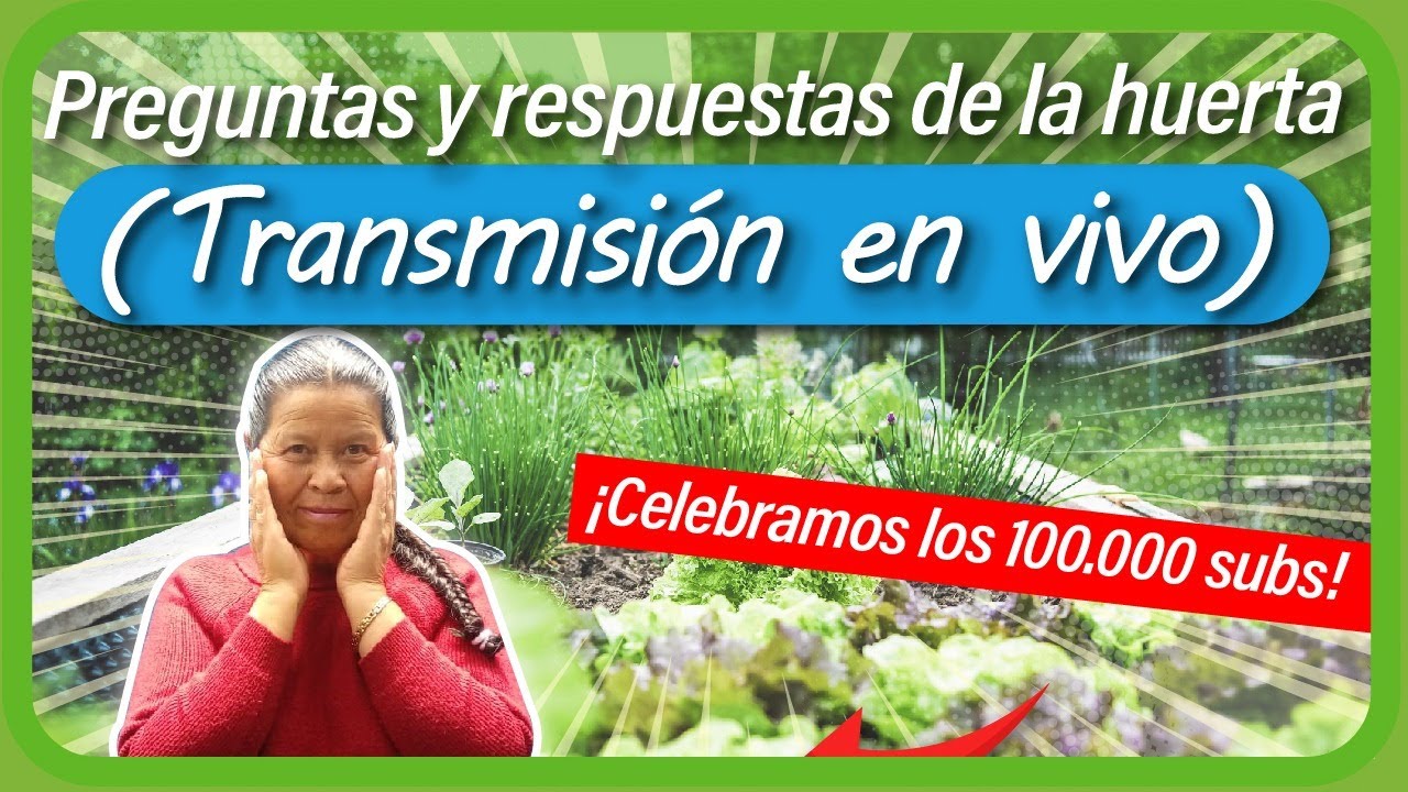 Celebrando los 100.000 Suscriptores en Preguntas y Respuestas de la Huerta Casera // EN VIVO