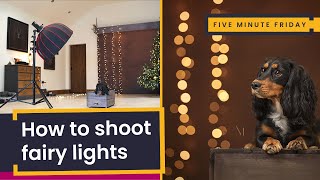 How To Photograph Fairy Lights | Making holiday lights fluffy circles in your dog photography screenshot 4