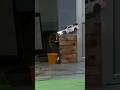BEST DRIFT CAR #shorts #viral #shortvideo