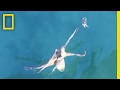 Viewer Reactions to Octopus Behavior