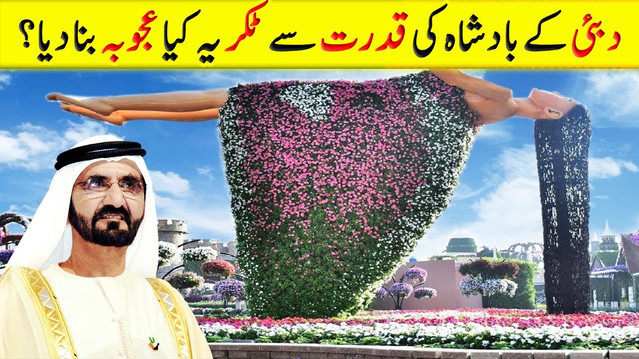 Dubai's Future Vision: Discover the Miracle Garden & More Amazing Plans
