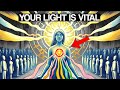 Lightworkers your gifts are urgently needed now