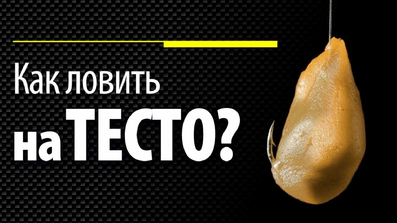 Ловля КАРПА и другой рыбы на тесто - YouTube