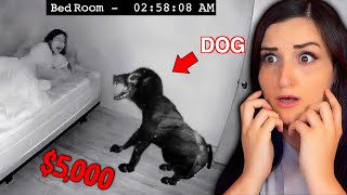 She Bought a DOG Off the Dark Web?!