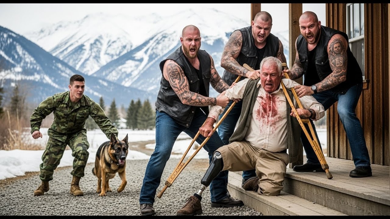 Thugs Beat Up an Elderly Veteran Living Alone—Unaware His Son Was a Renowned Navy SEAL