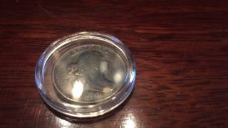 1808 Draped Bust Half Cent