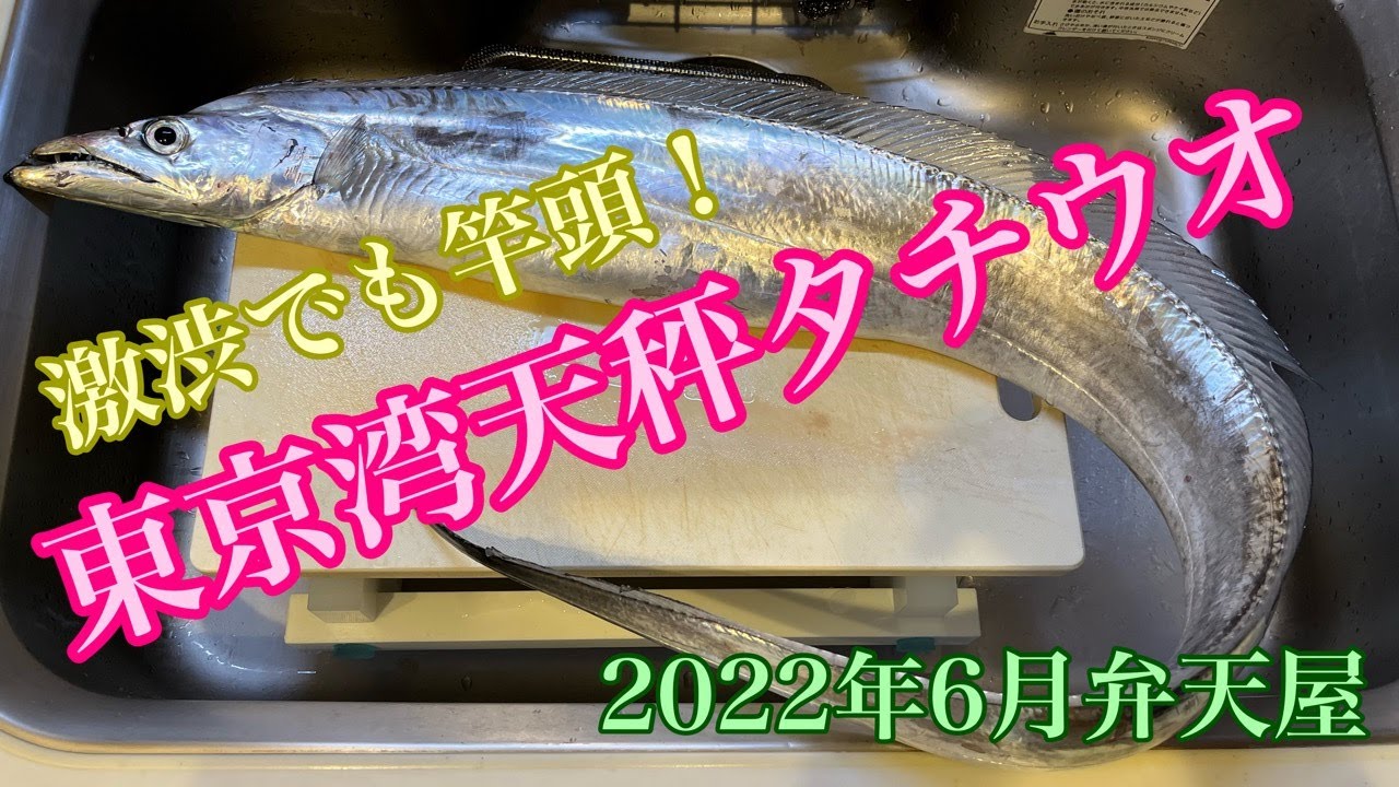 激渋！ながらも竿頭＆F5タチウオゲット！テンビンタチウオ　金沢八景・弁天屋　Although it is very reluctant, get a rod head and hairtail!