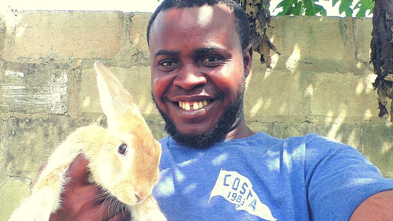 Rabbit Farming in Nigeria Dry and Hot Season YouTube