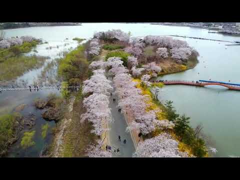 سأ قب ل يا خ القي من جديد نشيد ديني بدون موسيقى الكلمات