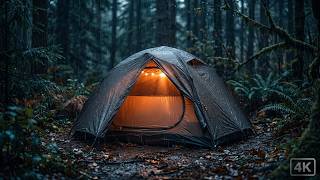 Ember Tent Rain 🌧️ Rain on Tent Sounds for Deep Sleep (3 Hours) screenshot 1