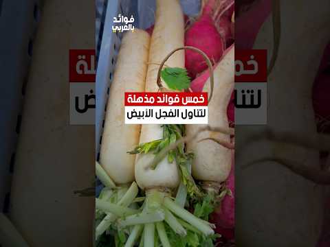 خمس فوائد مذهلة لتناول الفجل الأبيض فجل الفجل طعام فوائد ريلز