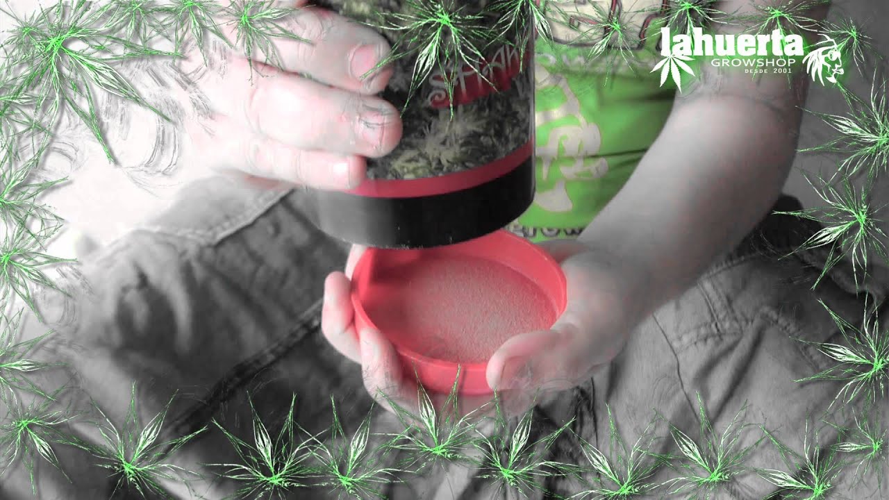 ShakeMe extractor de resina