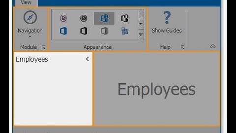 XAF Windows and Adorner Guides