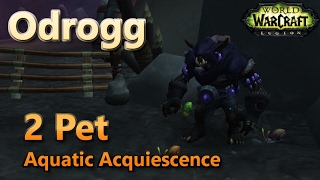 Odrogg Aquatic Acquiescence Family Familiar Pet Battle World Quest Snail Fight 2 Pet Strategy screenshot 5