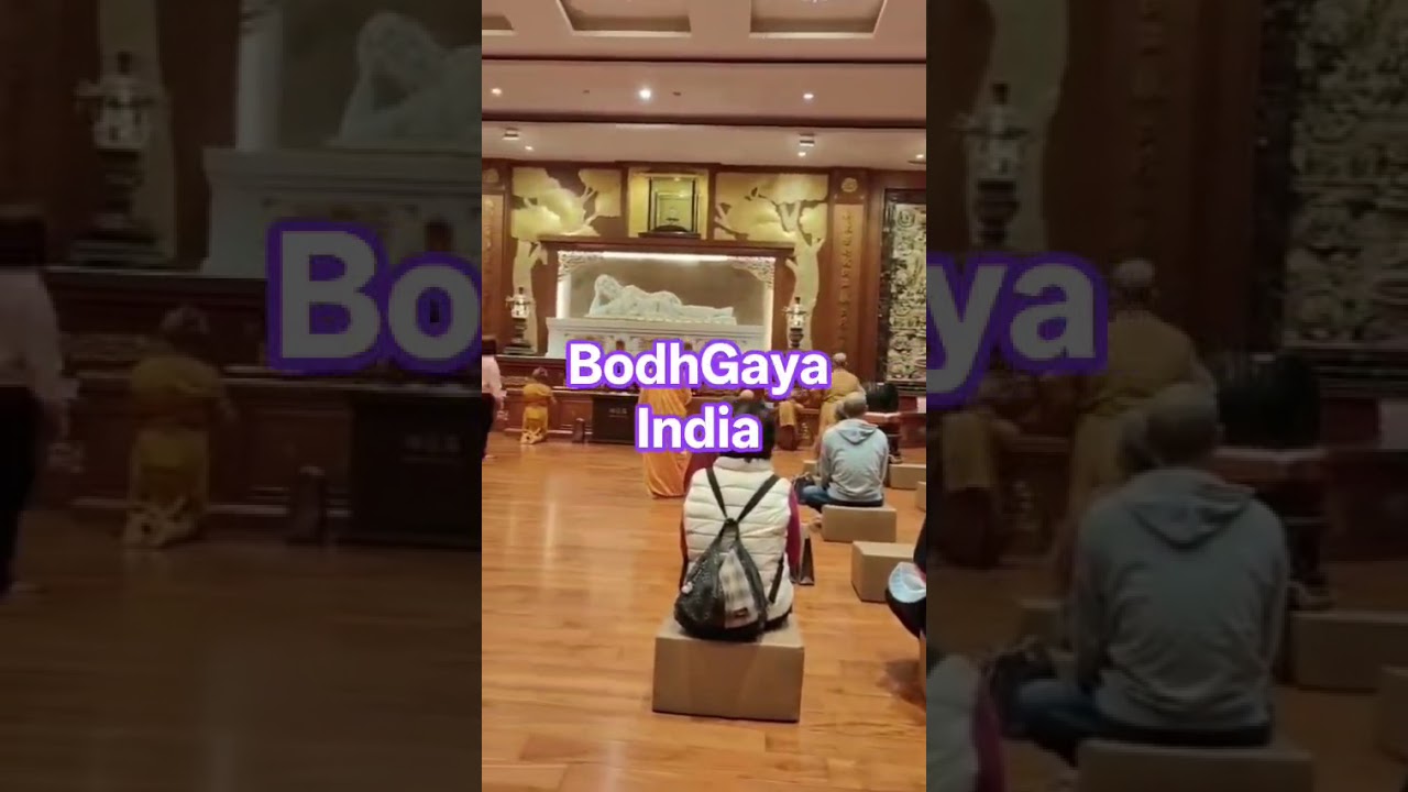 बुद्ध ही बुद्ध है 