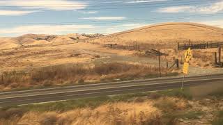 IMG 3452
