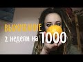 ВЫЖИВАНИЕ 2 недели на 1000 р || ЗАКУПКА || ЦЕНЫ || первые дни || 1 часть