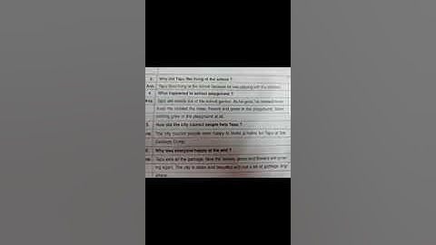 3rd Class English 23 01 2021