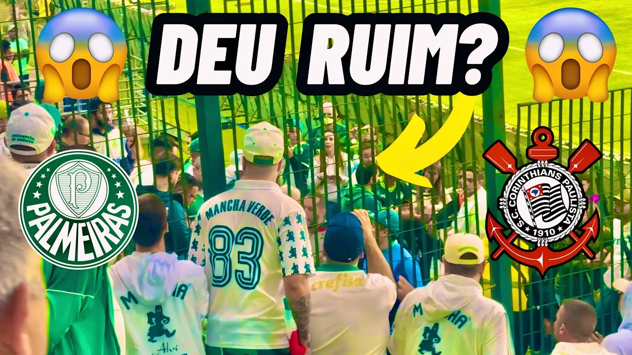 CORINTHIANO INFILTRADO NO MEIO DA TORCIDA DO PALMEIRAS/ Palmeiras 2 x 0 Corinthians