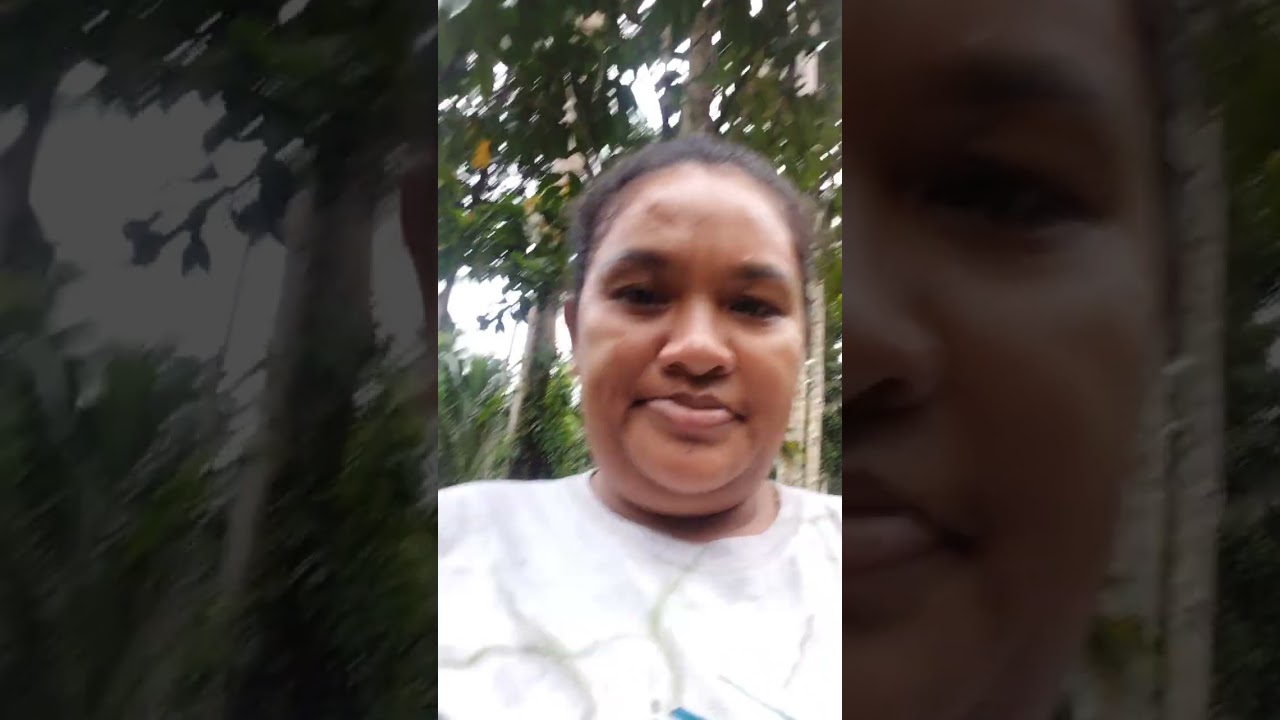 Selamat pagi tmn tmn saya lagi di kebun bantu suami kumpul kelapa