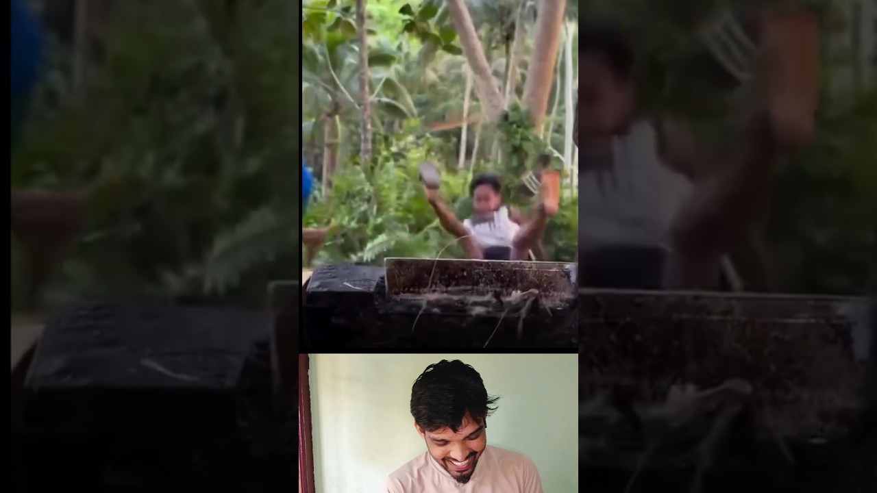 End la twist Iruku 🤣 