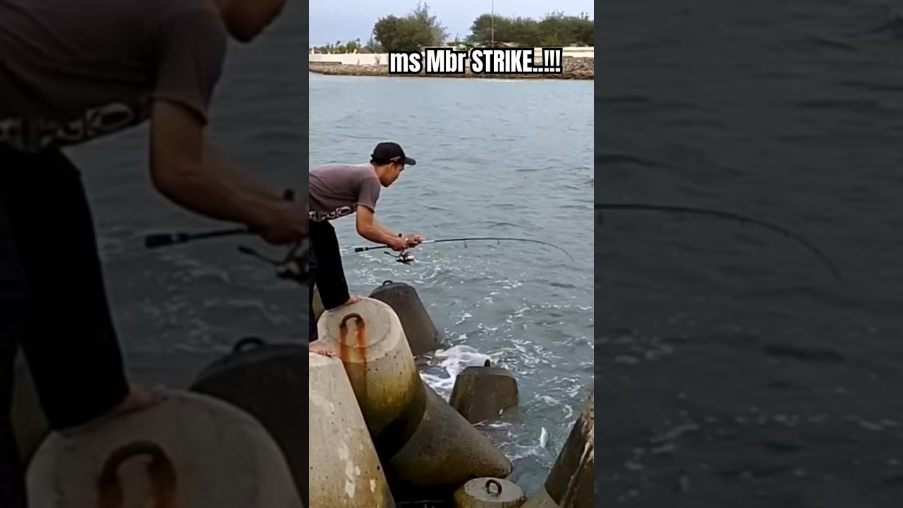 Mancing casting strike 