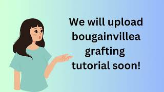 Unlock the Secrets of Grafting: Join me as I share my step-by-step tutorial.