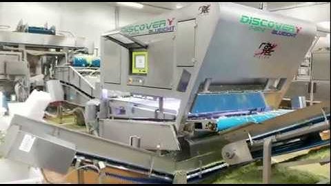 UNYCO software GUY for optical sorters applied on Discovery | Raytec Vision