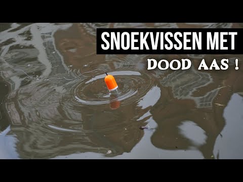 Video: Vissen Op Snoek Op Een Dobber