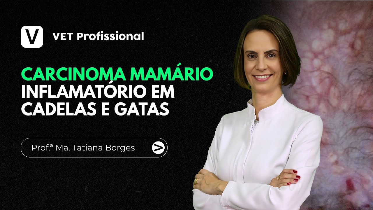 Carcinoma Mamário Inflamatório em Cadelas e Gatas: por que não operar? | VET Profissional