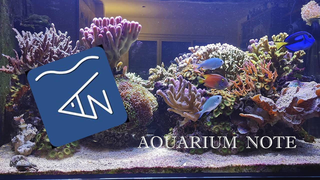 AQUARIUM NOTE Una aplicación para vuestro acuario YouTube
