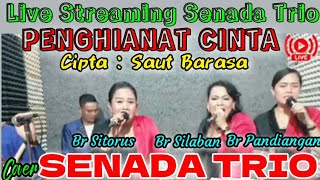 PENGHIANAT CINTA - Cipta : Saut Barasa - Cover Live Hits SENADA TRIO @hangganeriksonchannel8093