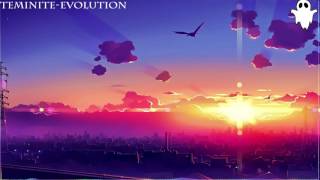 Teminite - Evolution