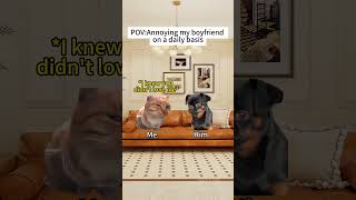 CAT MEMES🐱Annoying my boyfriend on a daily basis #catmemes #memes #funnymemes #funny relationship
