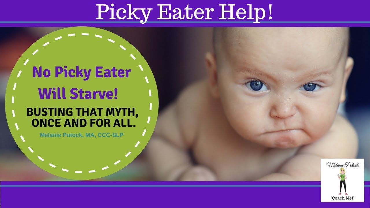 No Picky Eater Will Starve!!! Really, Are you Sure? YouTube