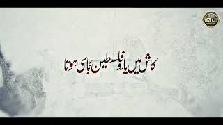 Video Download