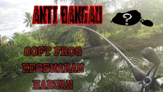 (VLOG 1)soft frog kegemaran haruan..anti bangau#casting haruan#snakedhead#LOYAL ANGLERS screenshot 5