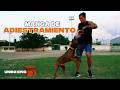 MANGA DE ENTRENAMIENTO para PITBULL | Unboxing y prueba de calidad ✅🐶